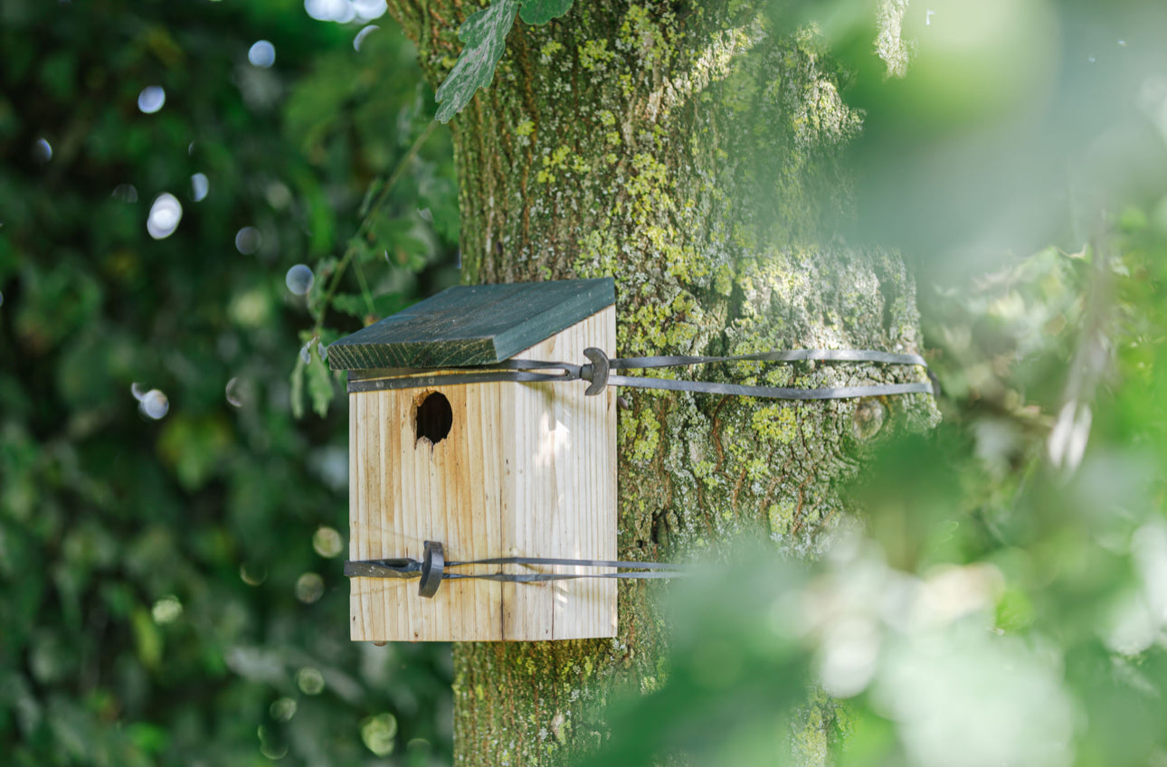 TREE-FIX 16 CM-16TF50