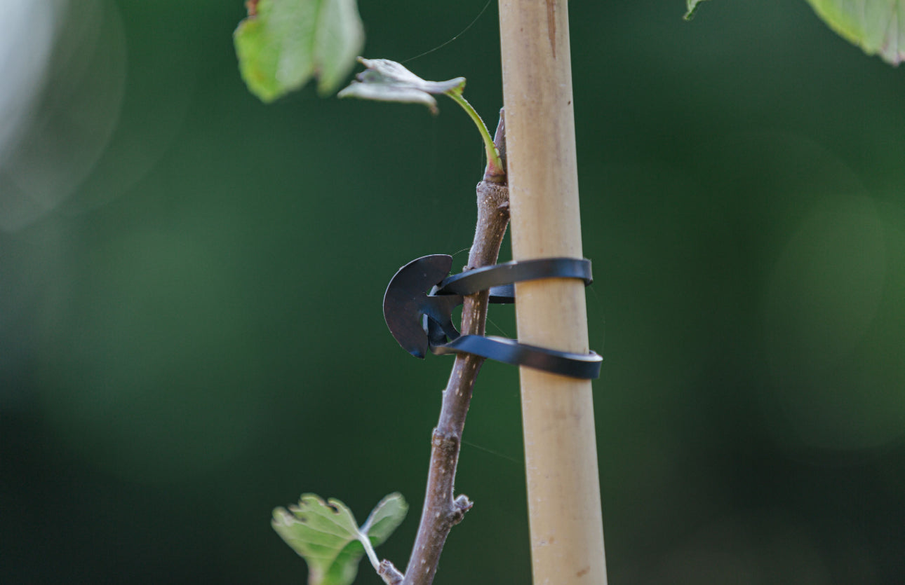 TREE-FIX 6 CM-6TF250