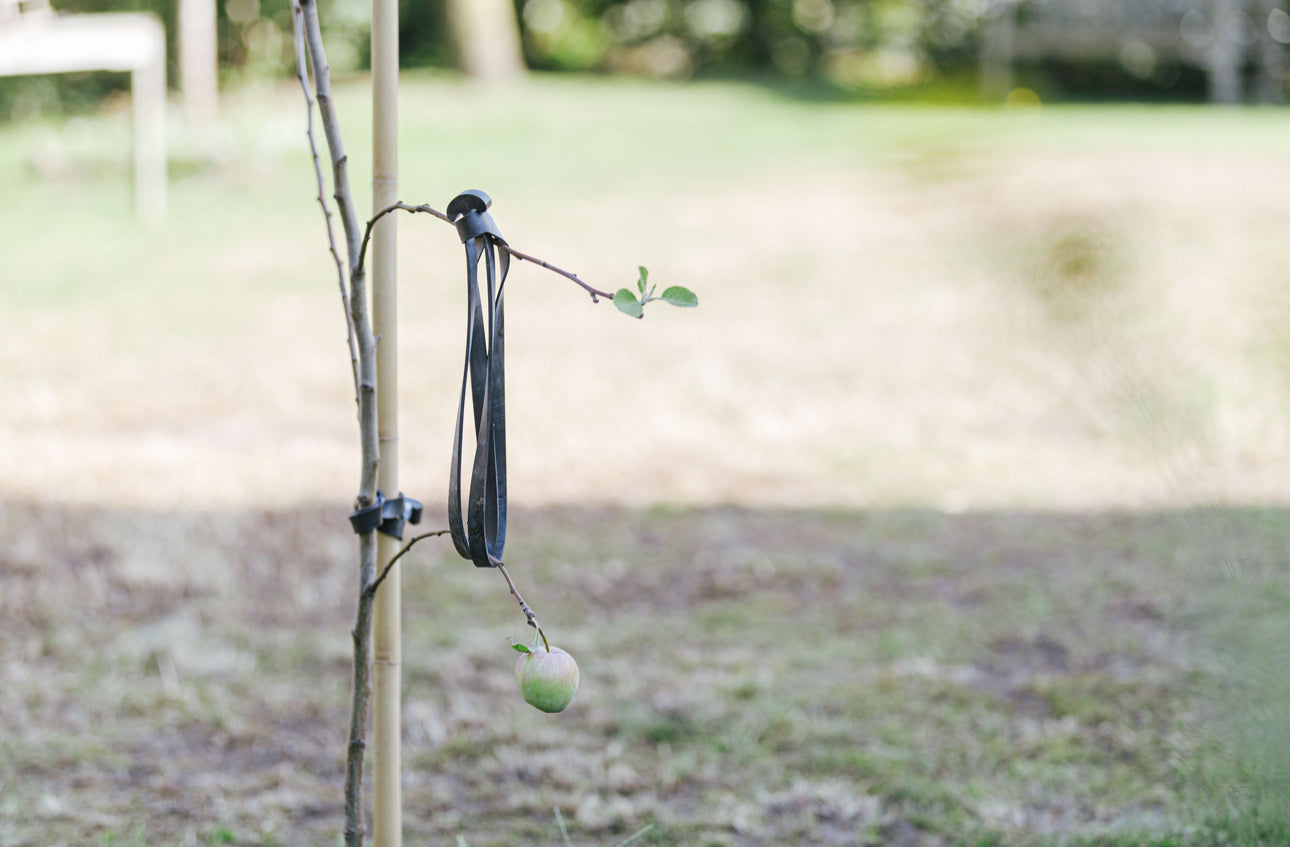 TREE-FIX 16 CM-16TF50
