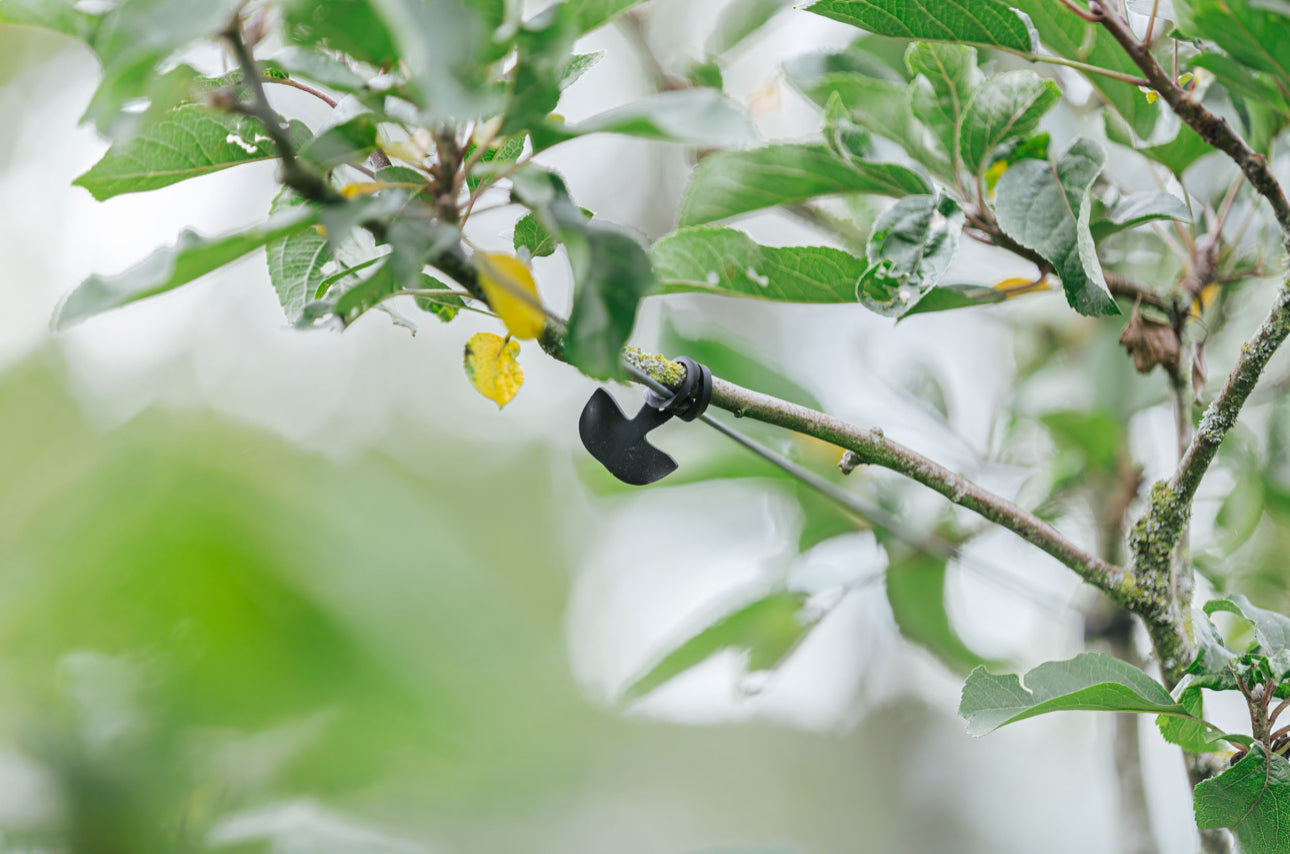 TREE-FIX 4 cm-4TF50